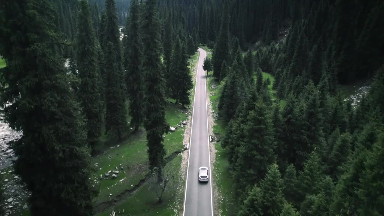 行驶在森林公路上的汽车视频下载