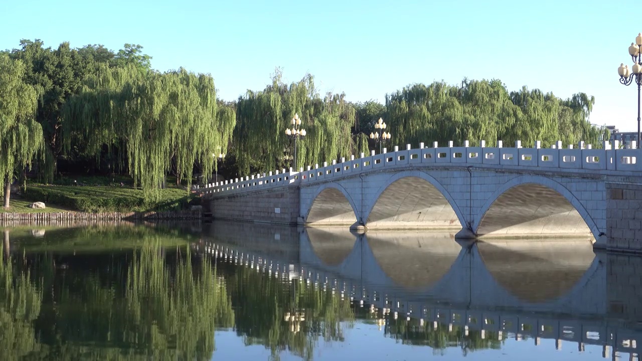 北京陶然亭公园夏日清晨小景视频素材