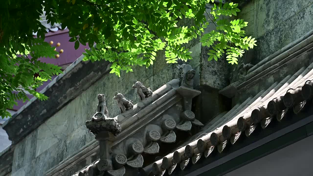 夏季老北京城市建筑胡同人文风情视频下载