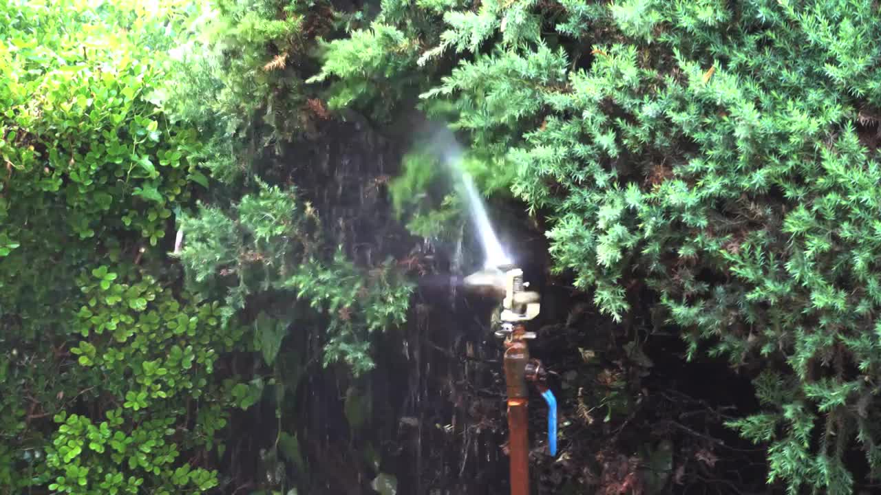 正在工作的园林自动喷淋设施视频素材