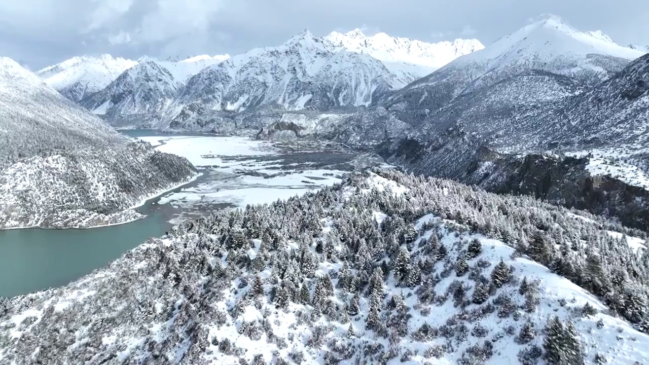 西藏昌都市八宿县然乌湖，无人机飞越雪松森林和雪山视频下载