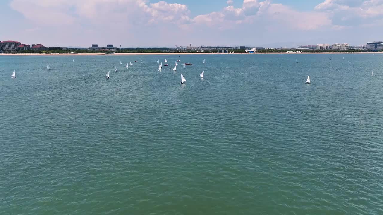 航拍成群航行的帆船视频素材