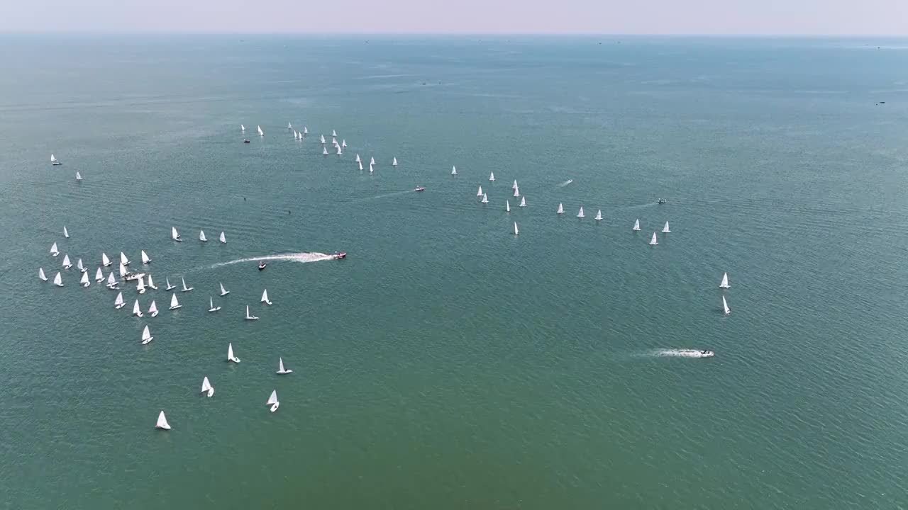 航拍成群航行的帆船视频素材