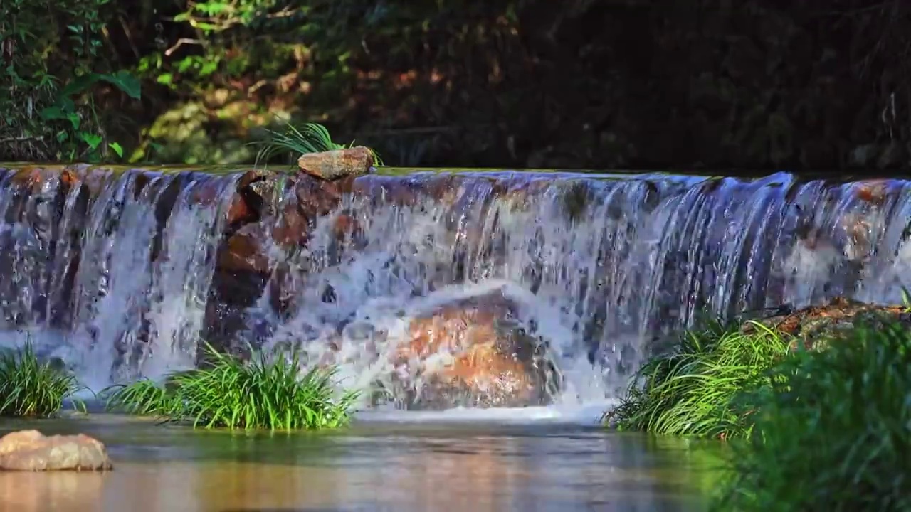 瀑布溪流山泉水森林视频下载