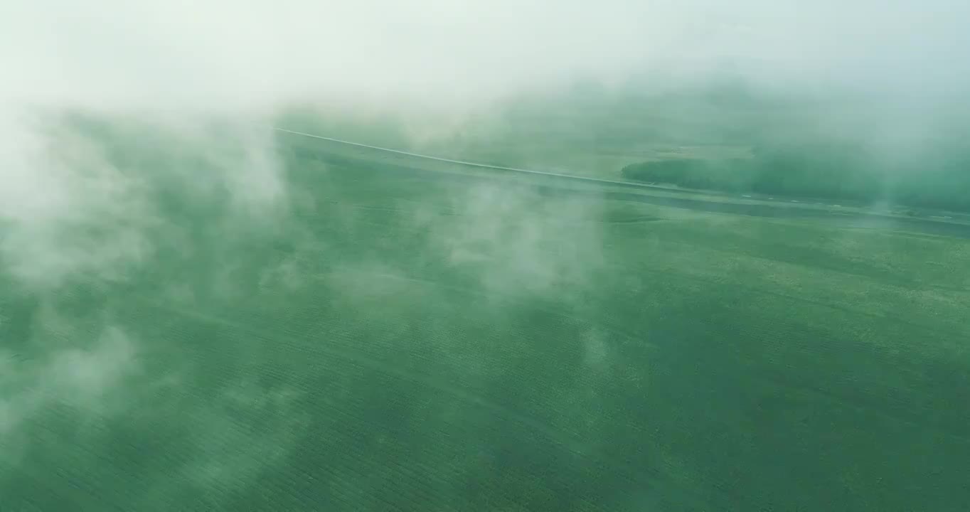 云雾下的草原风景视频下载