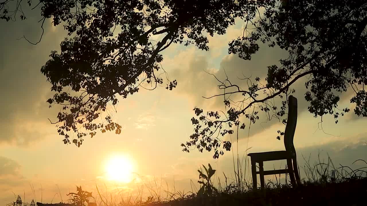 老家香樟树下享受夕阳西下的美好时光视频下载