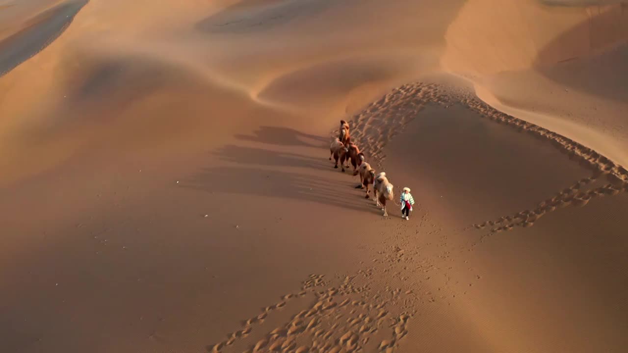 沙漠中驼队，库木塔格沙漠的骆驼，塔克拉玛干沙漠的航拍视频下载