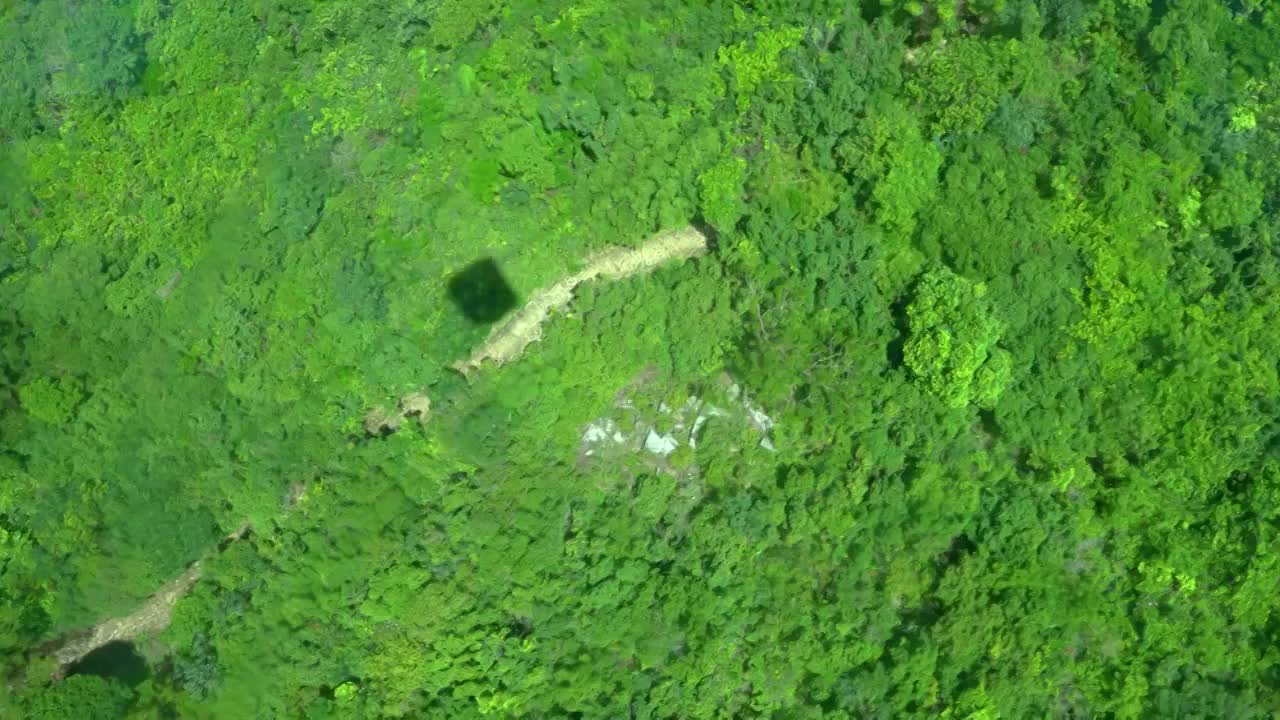 香港离岛大屿山山顶森林高视角俯拍视频下载