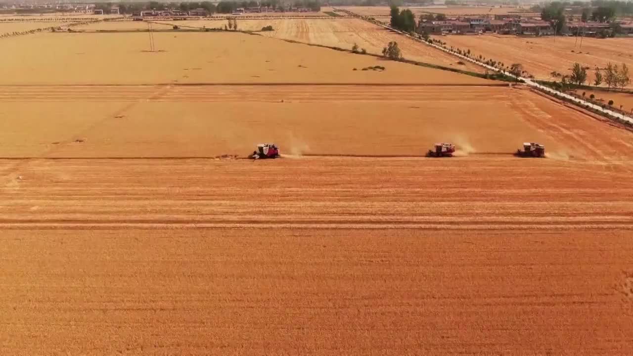中国农业农村发展乡村振兴（选编）视频素材