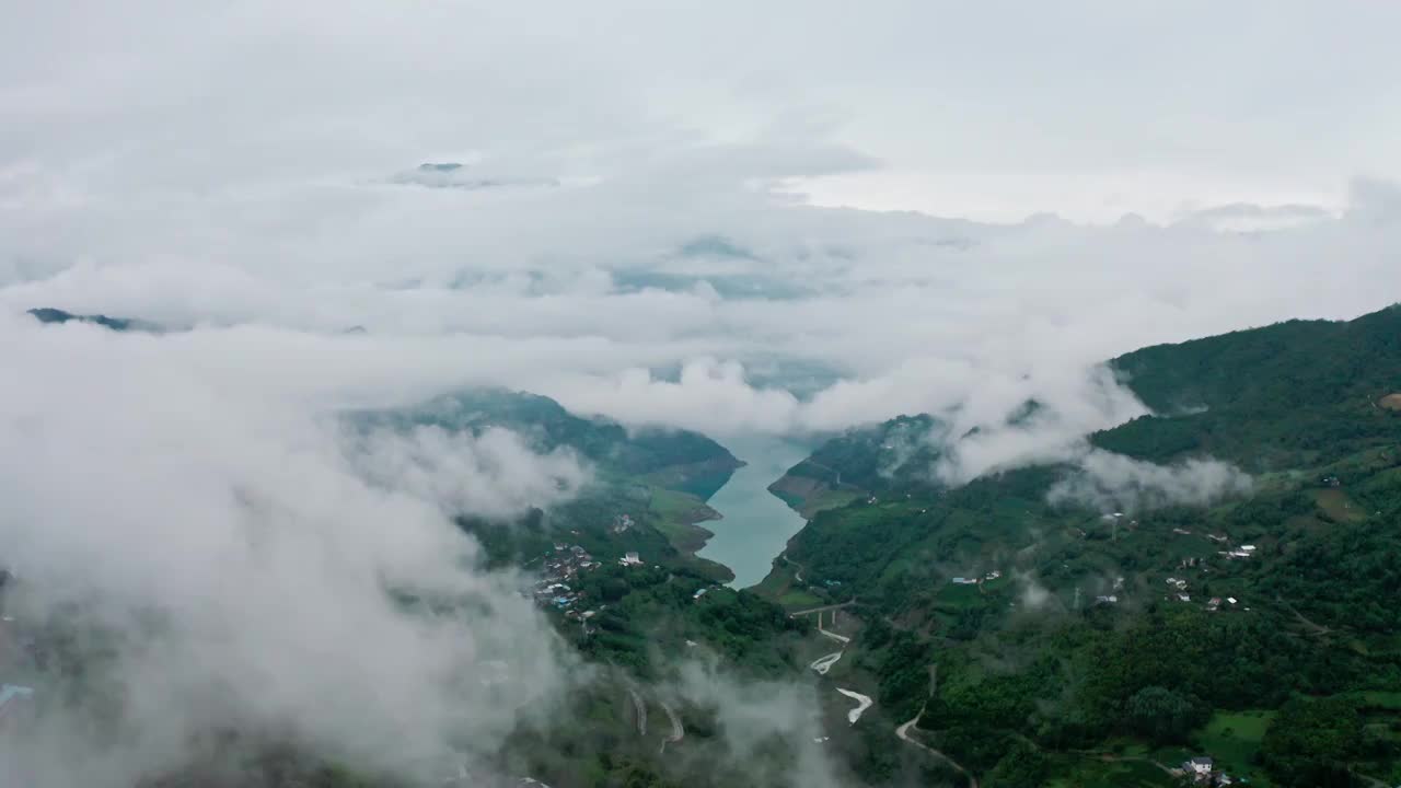 云海，峡谷中的云雾，夹金山峡谷中的雾视频素材