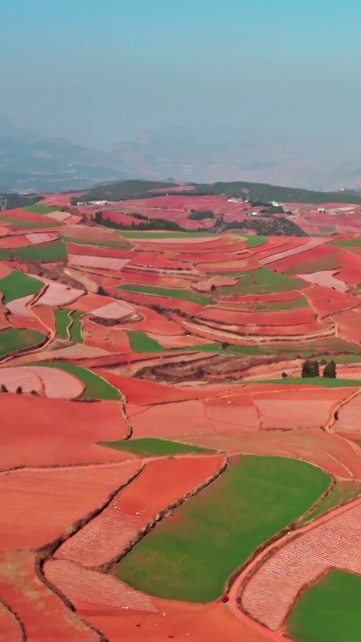 东川红土地，锦绣缘的色彩，多彩的梯田，红色的土地视频下载