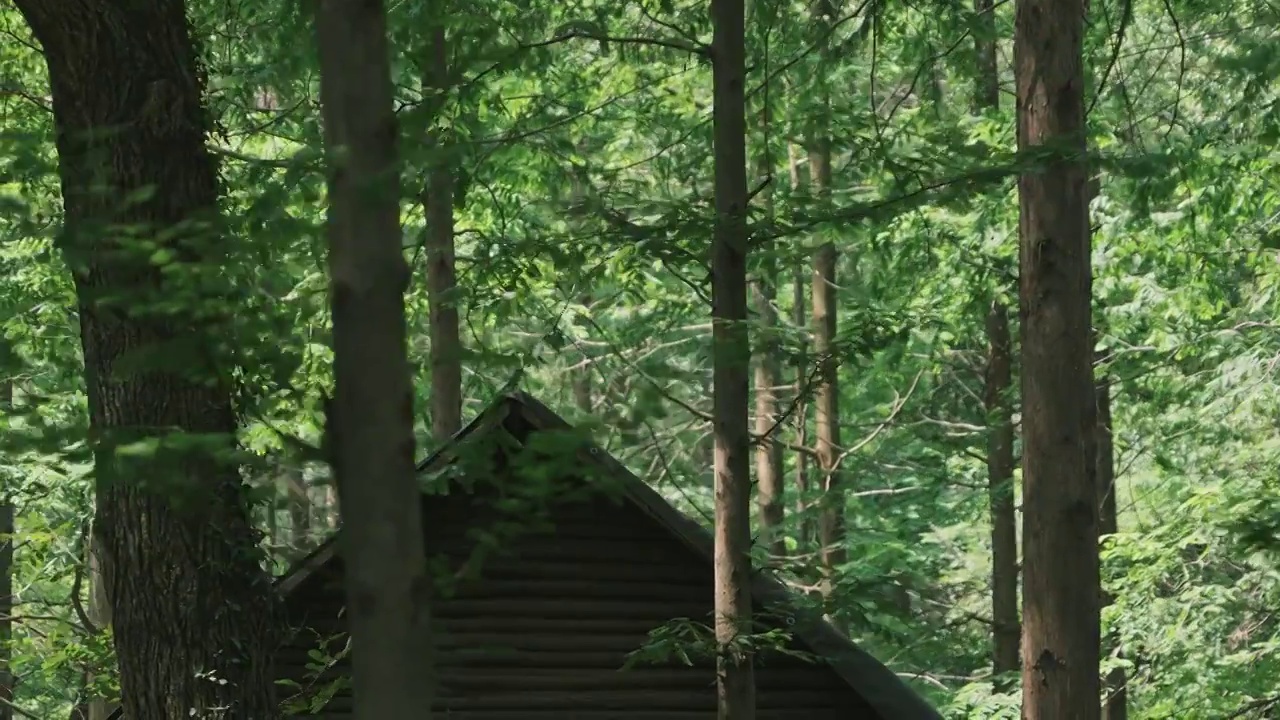 树林中的木屋视频下载