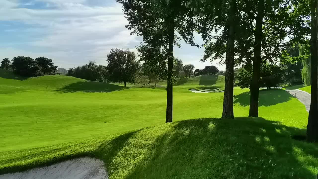 高尔夫球场视频下载