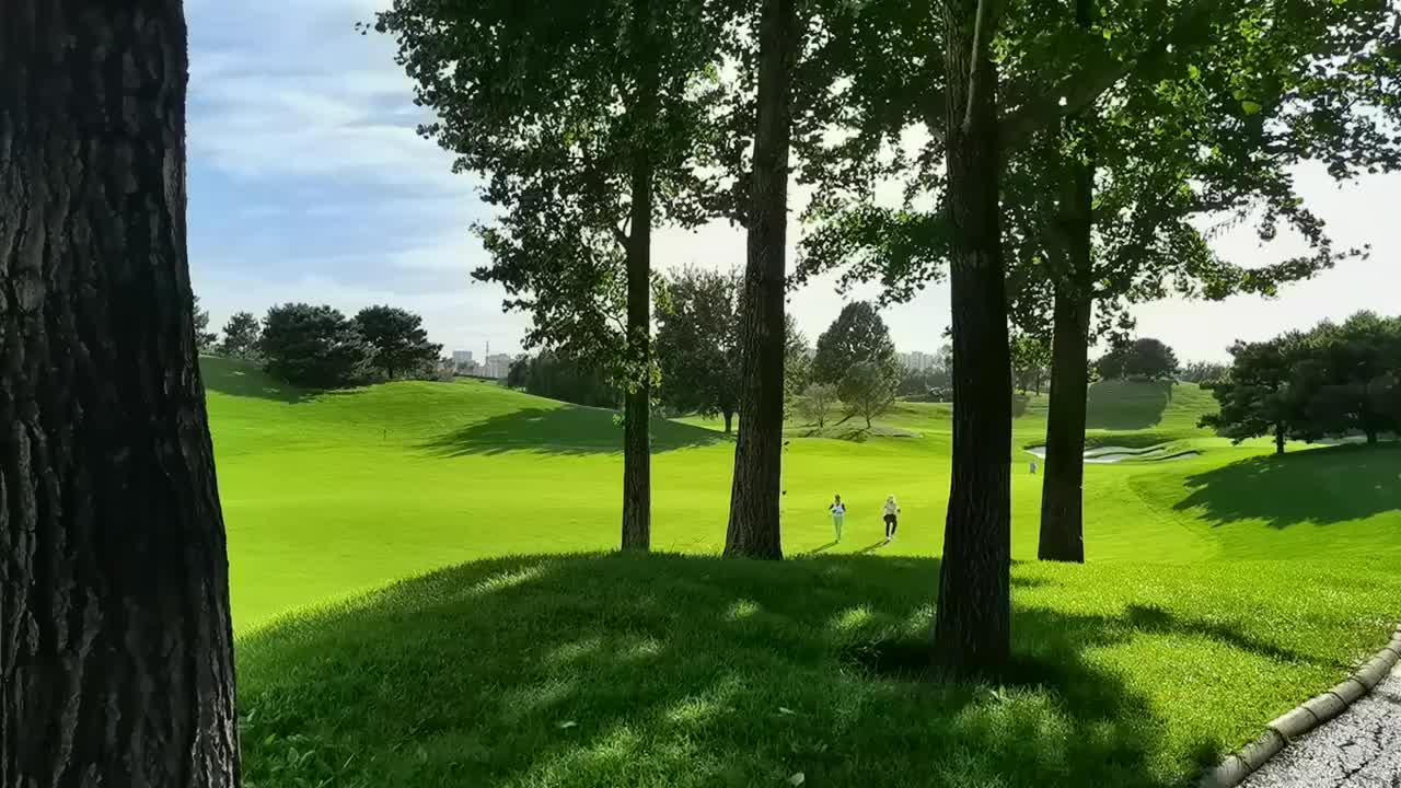 高尔夫球场视频下载