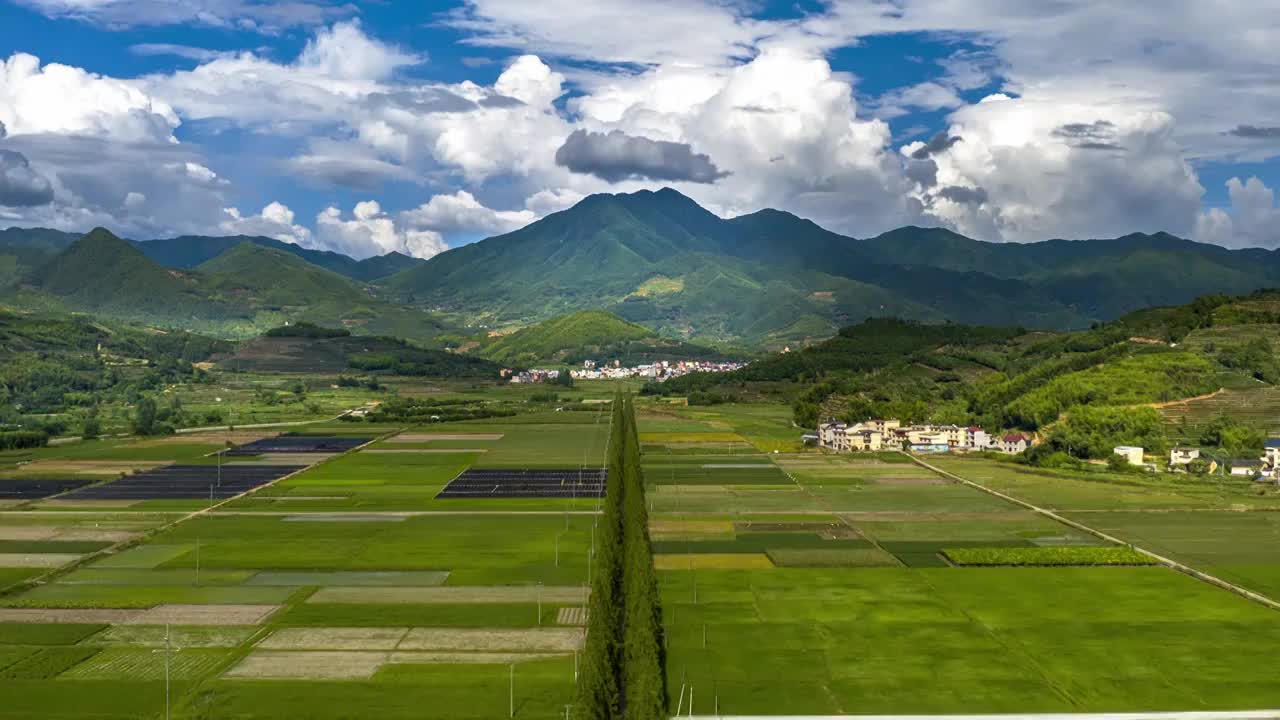 大型水稻种植基地蓝天白云的延时风光乡村振兴视频下载