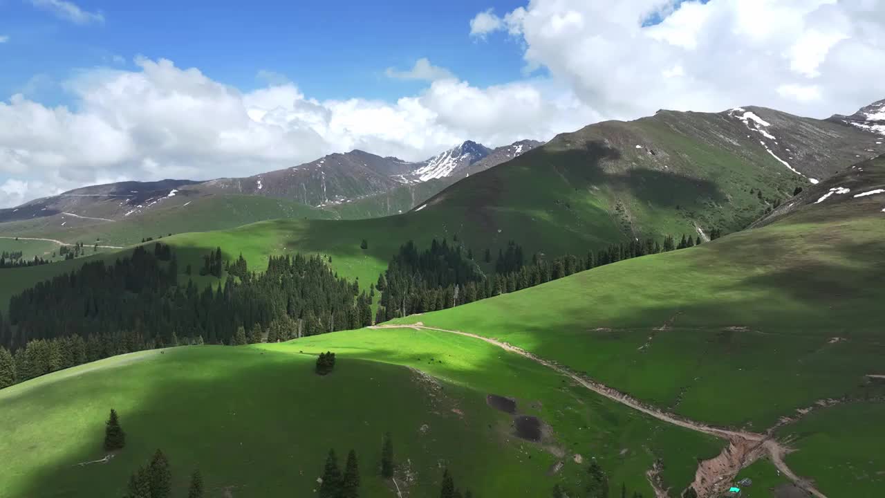 新疆伊犁州特克斯县琼库什台大草原风光视频下载