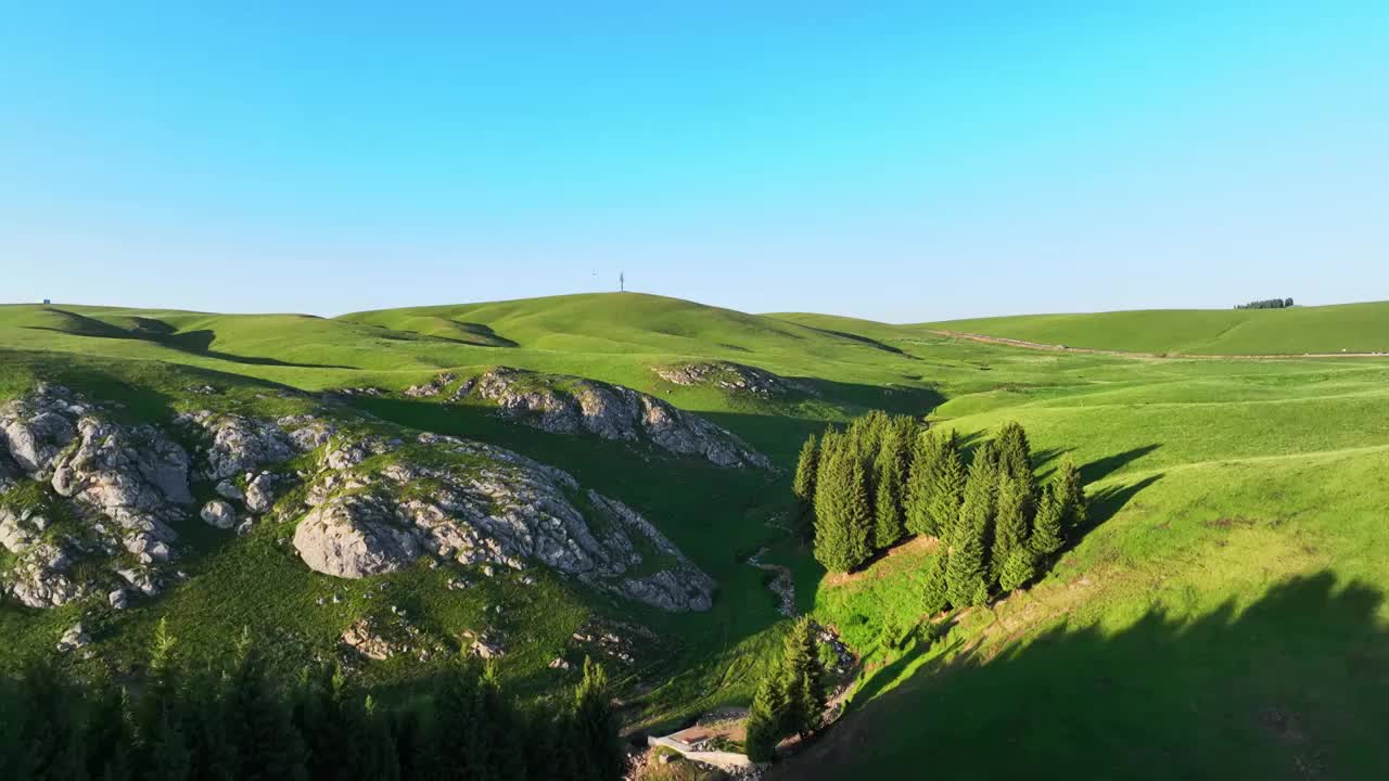 早上的新疆伊犁阿克塔斯草原风光视频下载