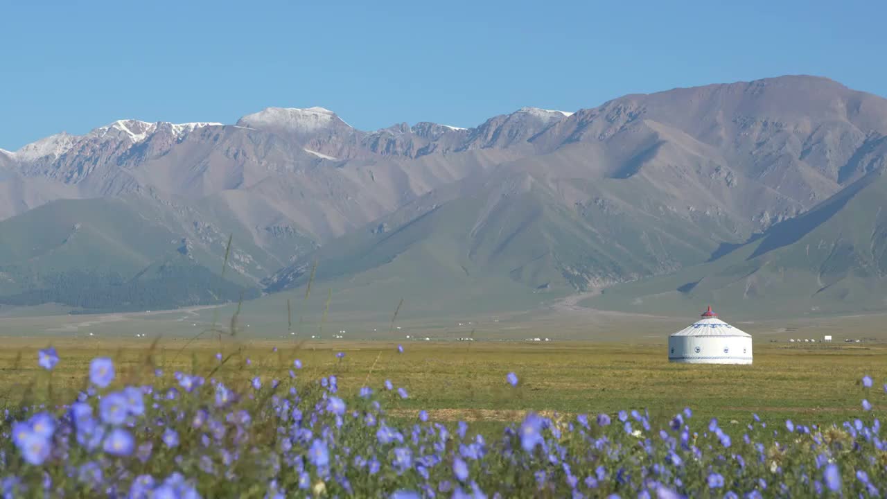 新疆赛里木湖边上的草原 蒙古包视频下载