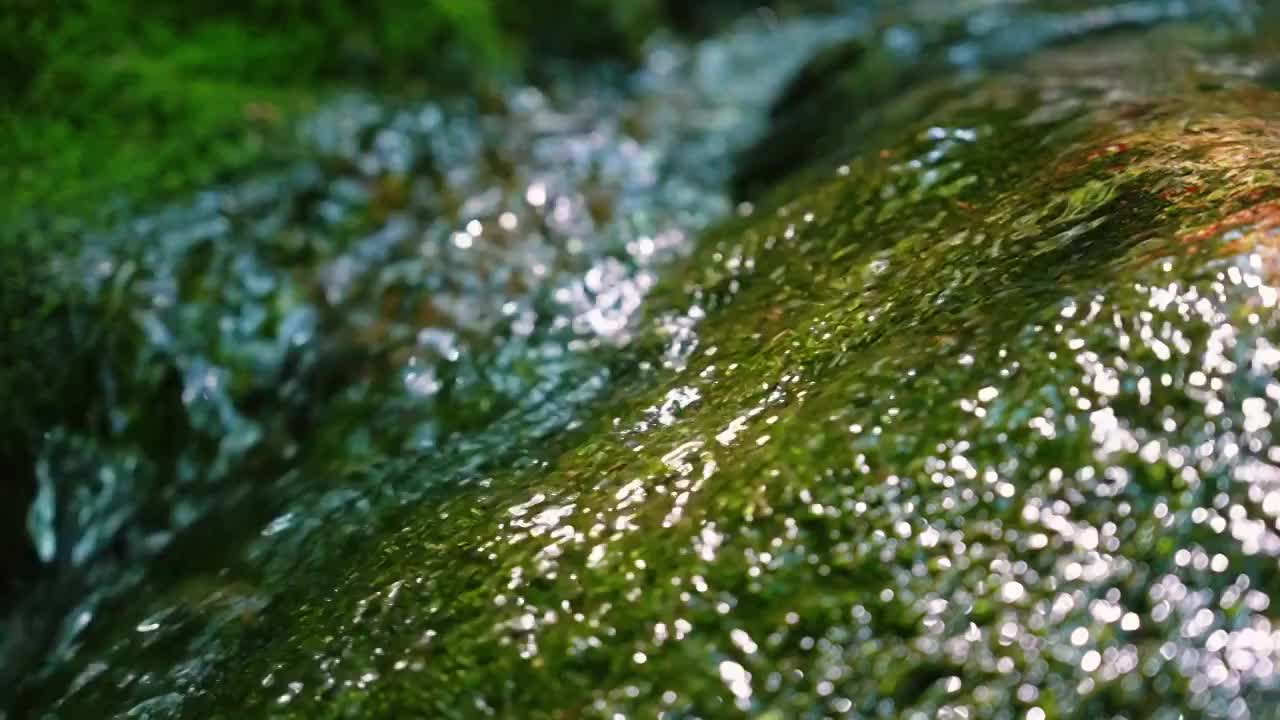 清澈透明的缓缓溪水在阳光的照耀下慢慢的流过布满苔藓的石面视频素材