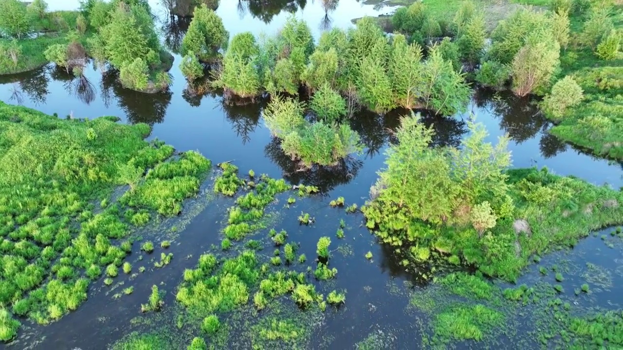 航拍冻土森林湿地风光视频素材