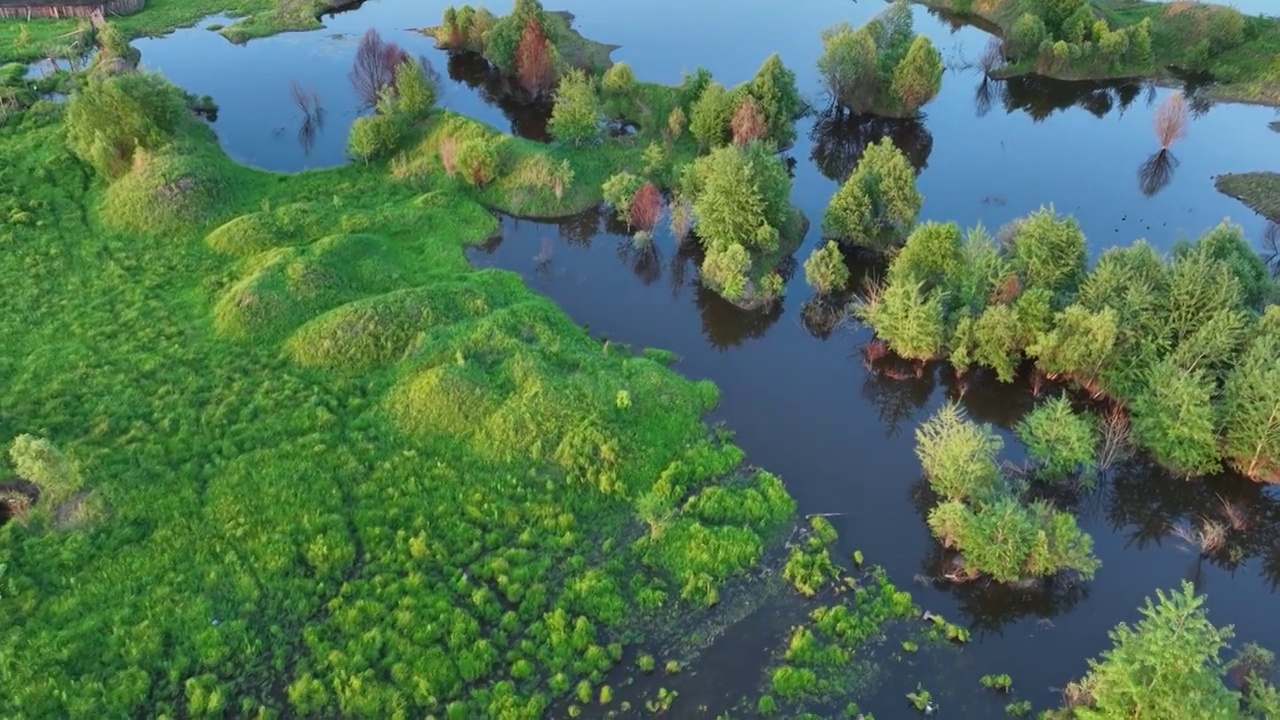 航拍冻土森林湿地风光视频素材