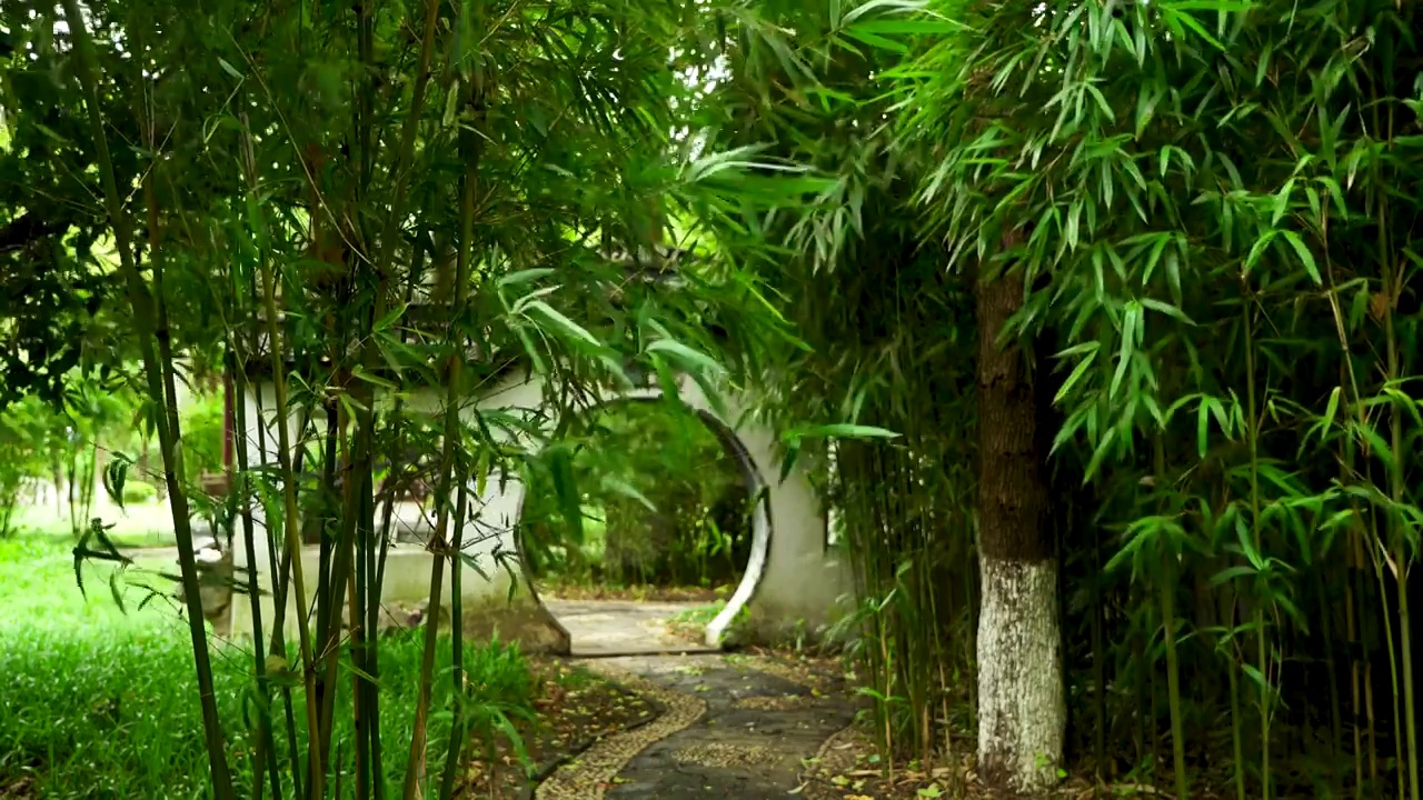 江南园林下雨天竹林竹叶唯美的禅意空镜视频素材