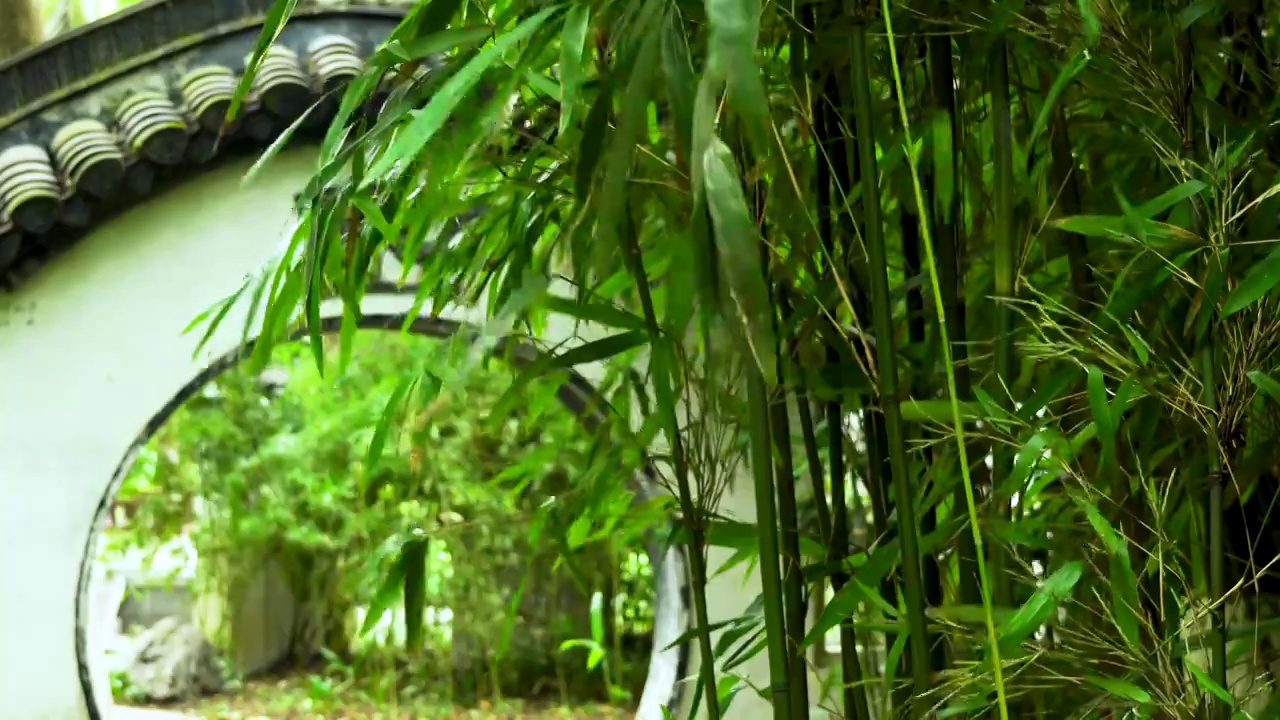 江南园林雨天竹林竹叶唯美的禅意空镜视频素材