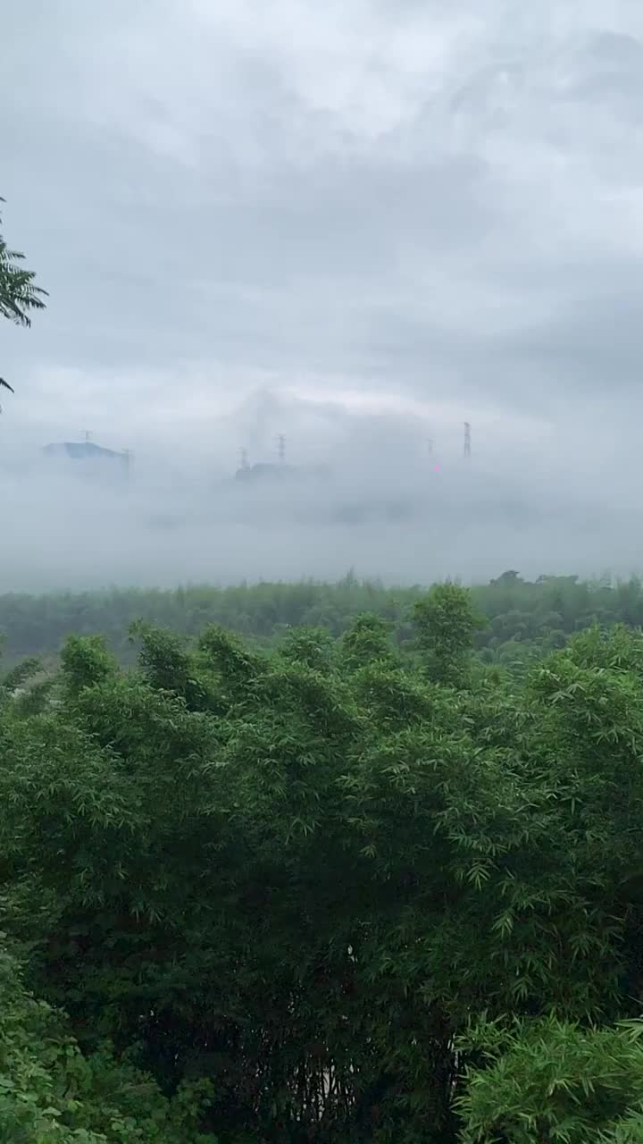 雾锁富春溪视频素材