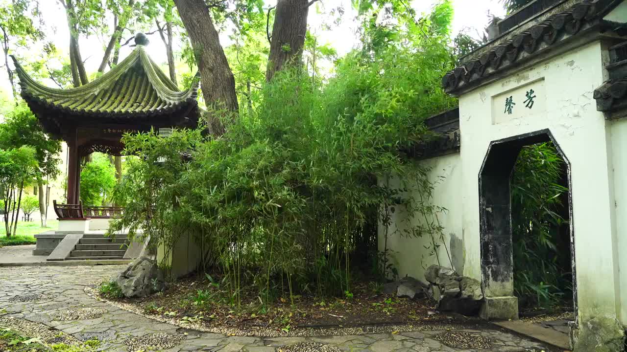 江南园林下雨天竹林竹子禅意空镜视频素材