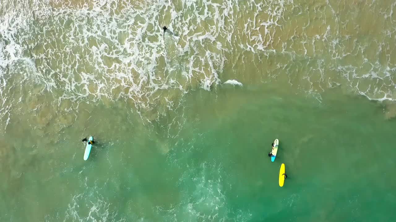 4K航拍海南万宁海滩边冲浪的游客视频素材