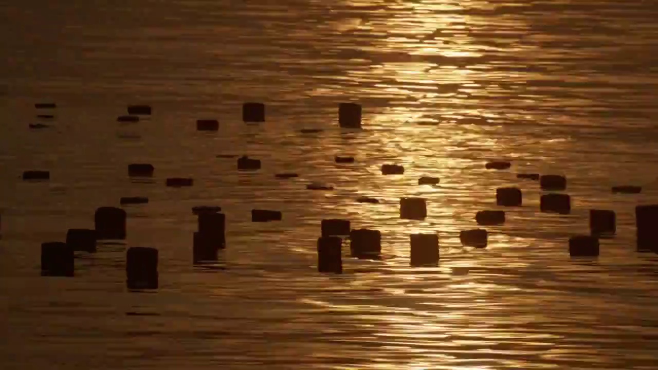 夕阳下舟山群岛波光粼粼的海面视频下载