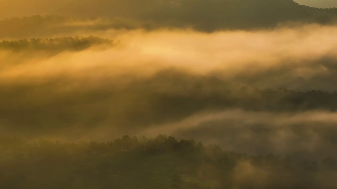 航拍日出金光中云雾缭绕森林背景视频下载