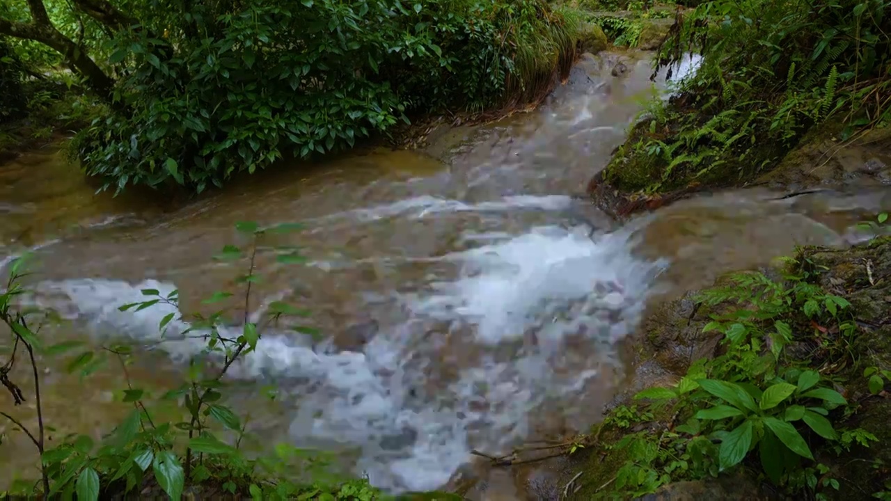 贵州荔波小七孔景区的溪流视频素材