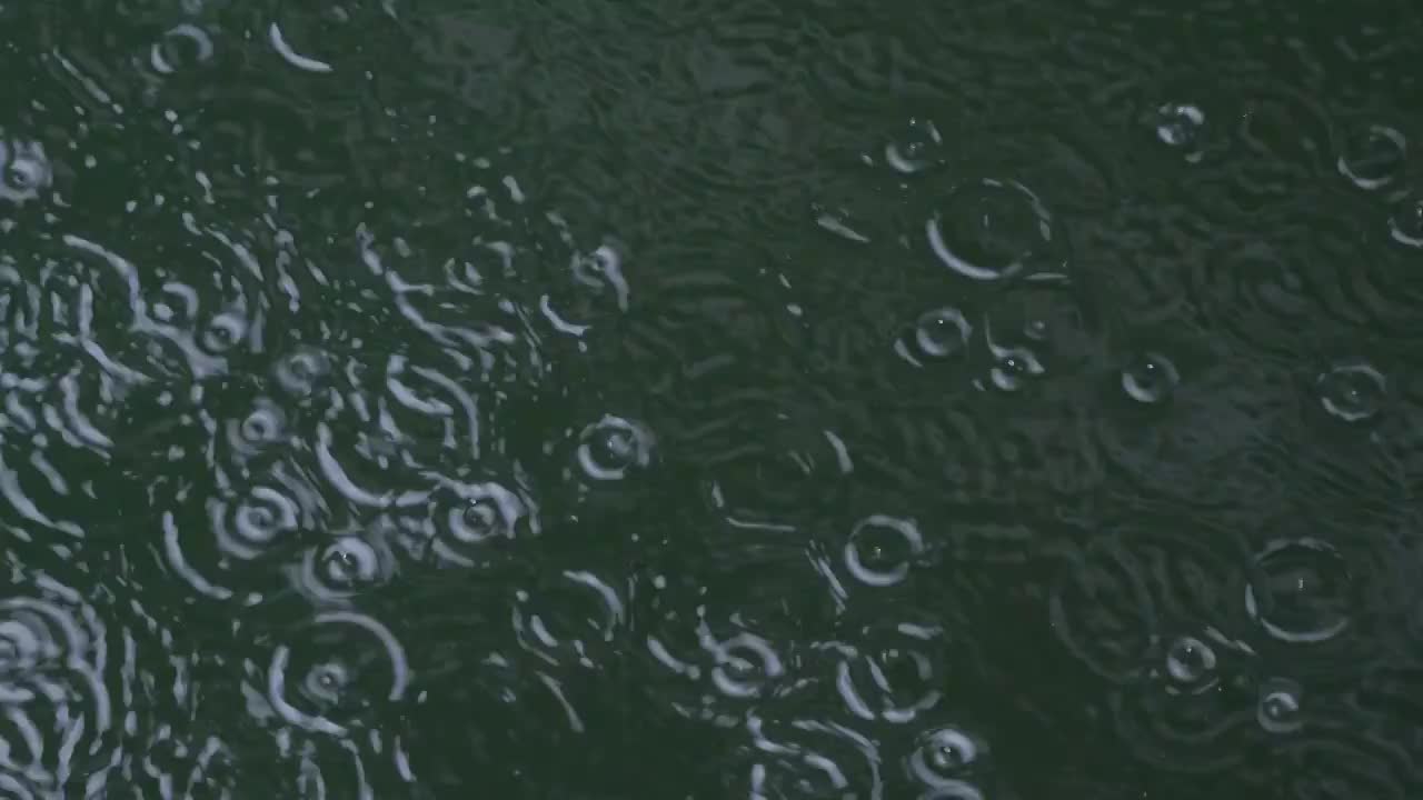 水面上的雨滴涟漪视频下载