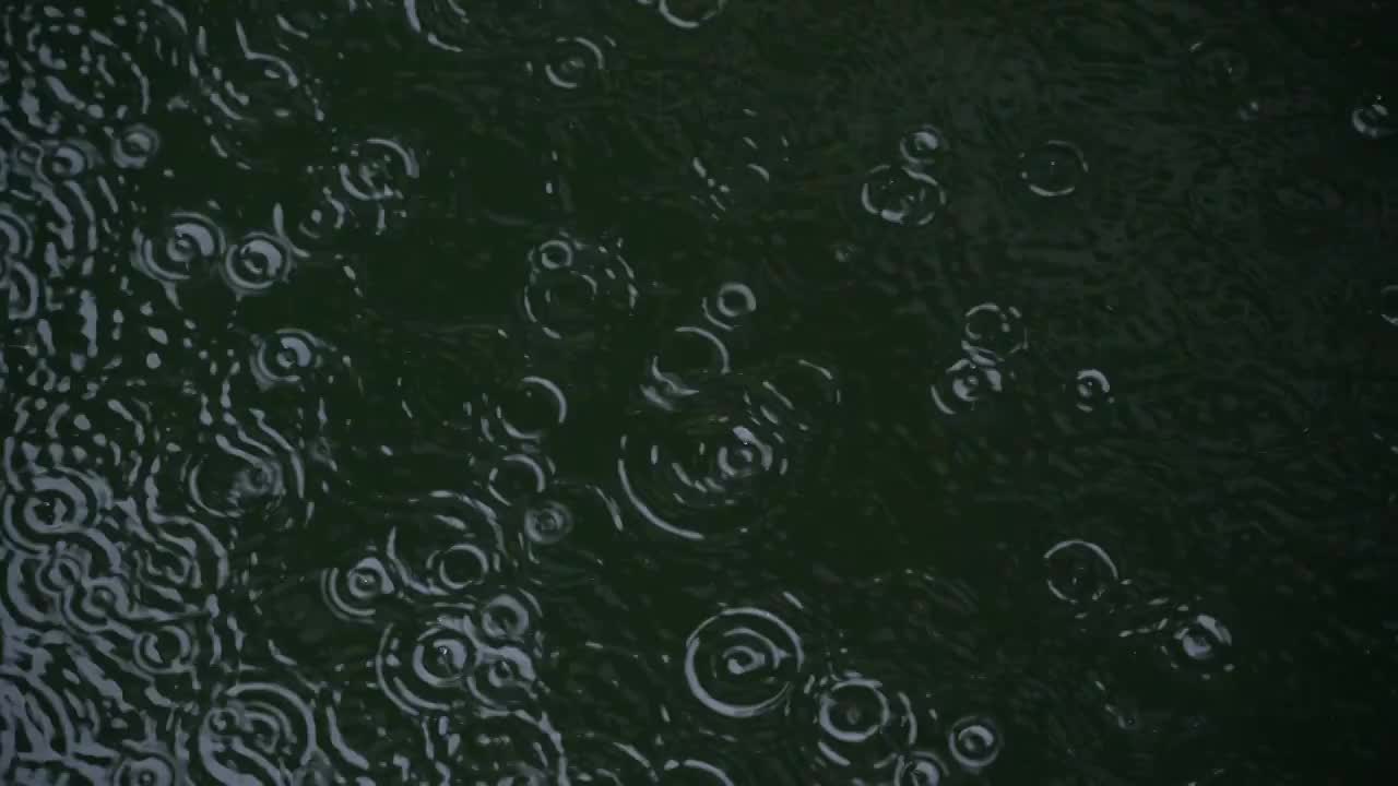 水面上的雨滴涟漪视频下载