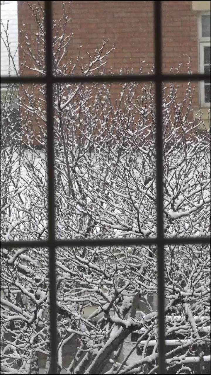 庭院雪景视频下载