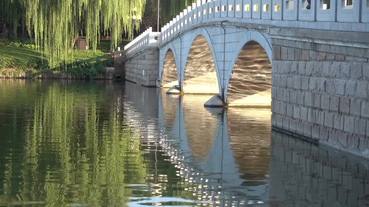 夏天北京陶然亭公园的清晨视频下载
