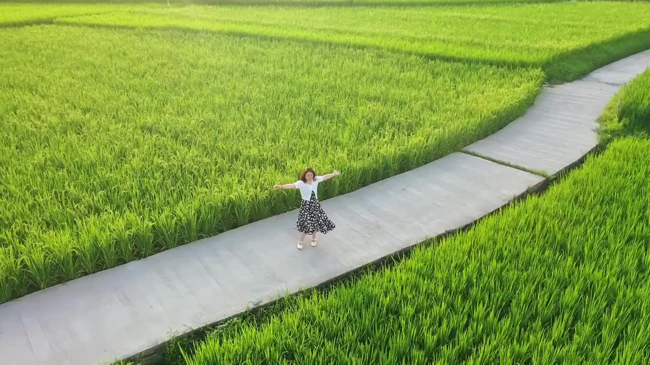 一个东方女人在稻田里跳舞视频下载