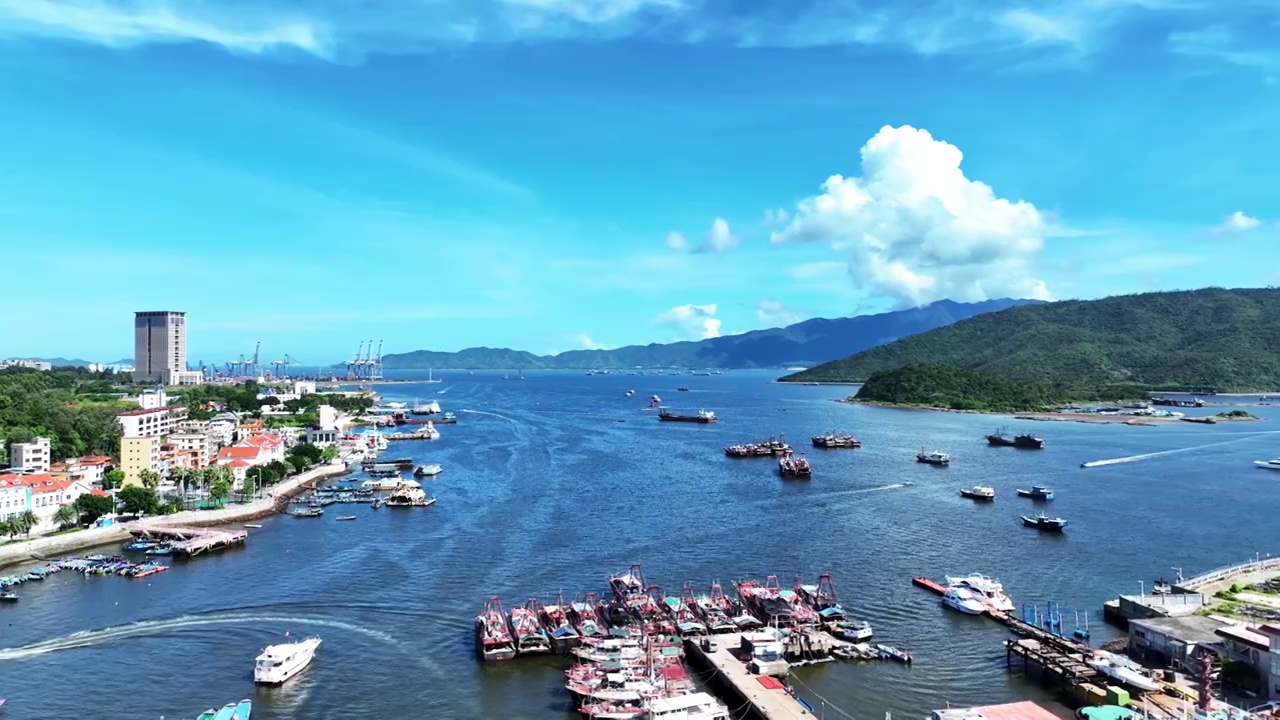 航拍广东惠州大亚湾海岸线码头自然海景视频下载
