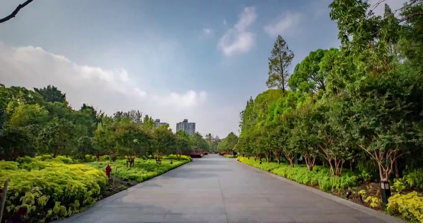 龙华烈士陵园11视频素材