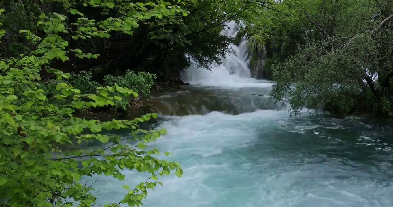 夏天山涧的溪水，绿色清凉的河水，十六湖国家公园视频下载