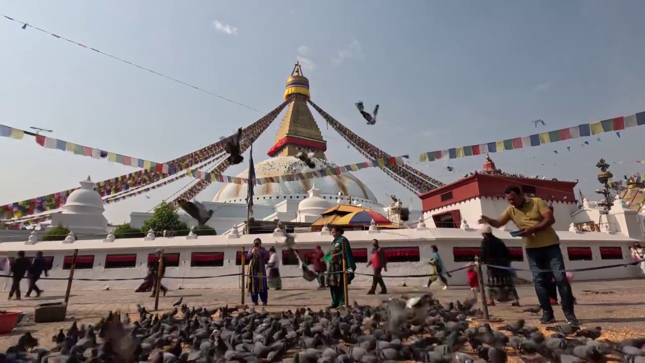 博达哈大佛塔，加德满都地标建筑，尼泊尔的佛眼，广场上飞舞的鸽子视频下载