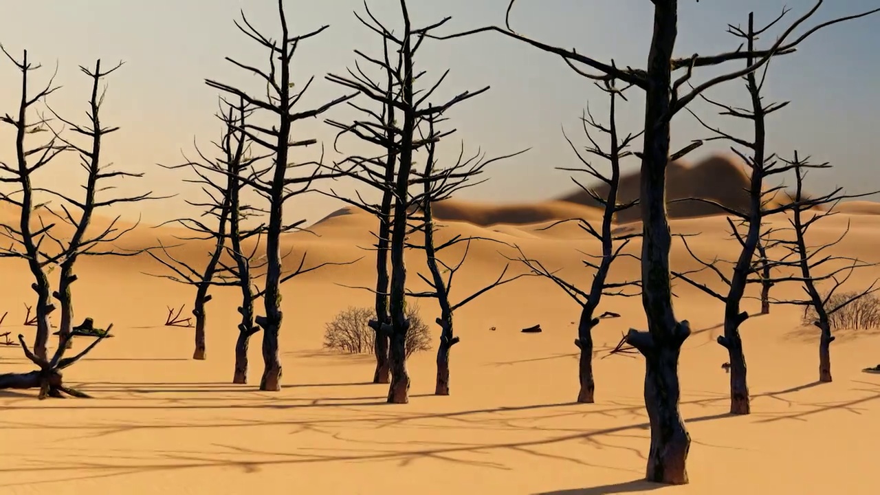 干旱贫瘠的沙漠枯树和树桩视频素材