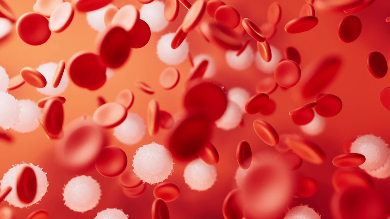 微观血液细胞3D渲染视频下载