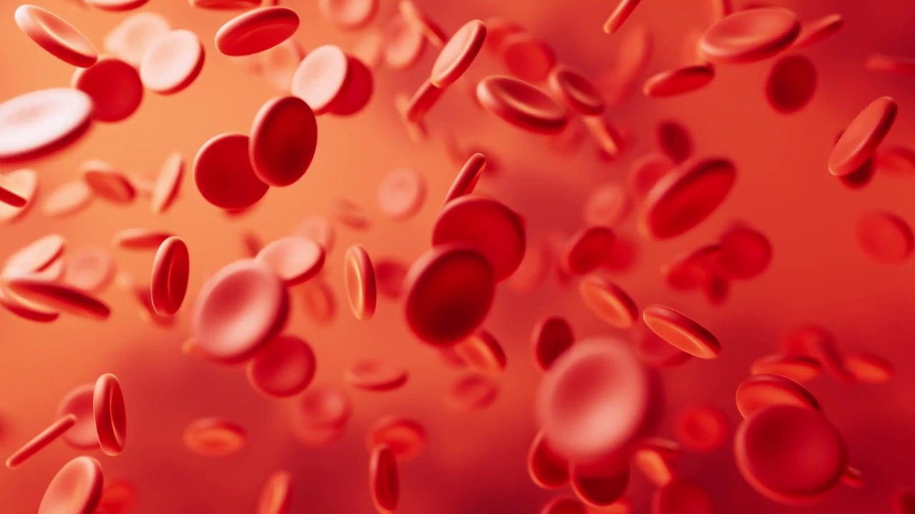微观血液细胞3D渲染视频下载