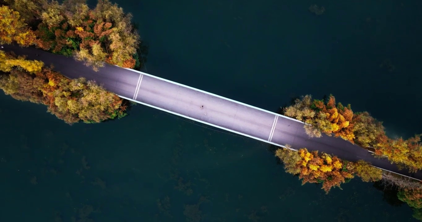 4K长沙洋湖湿地公园航拍视频下载