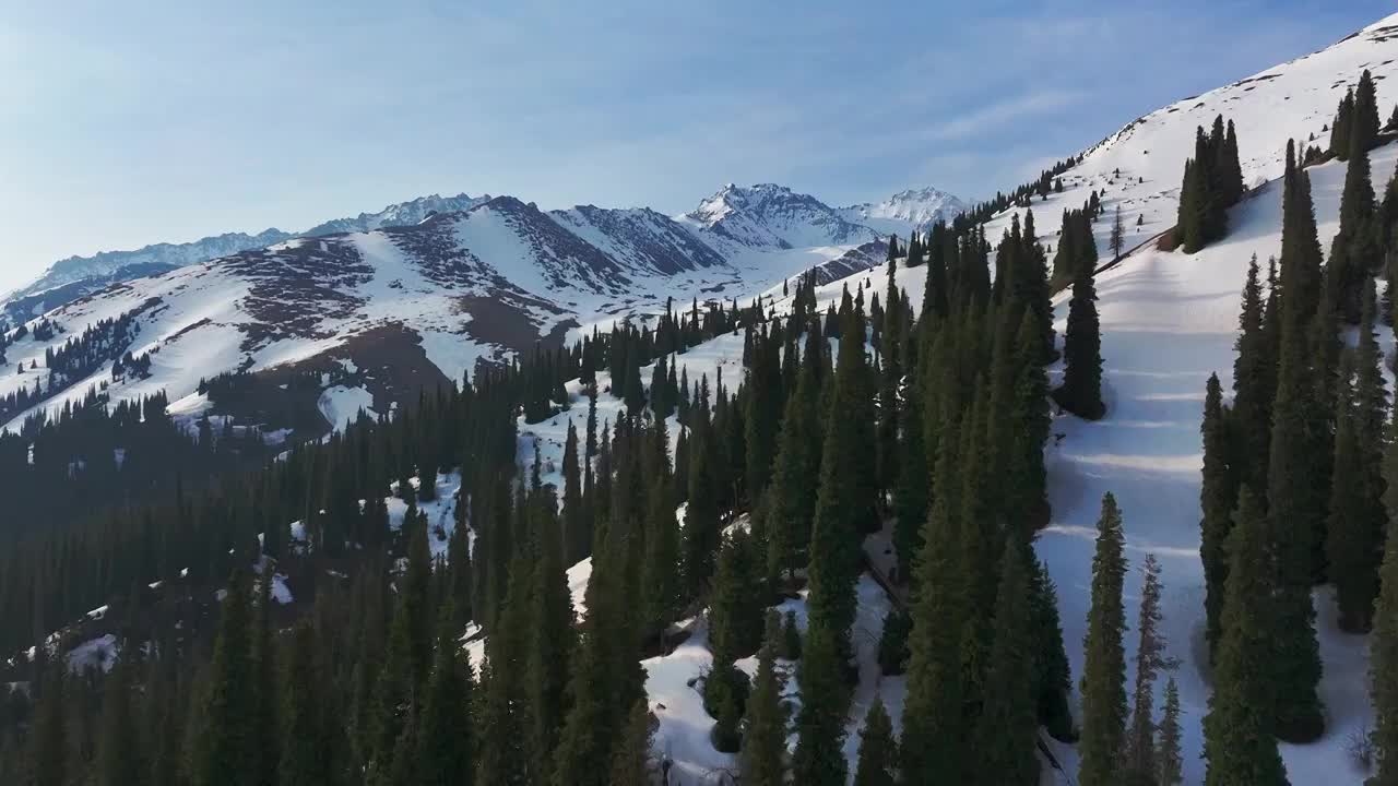 航拍雪山森林自然风景视频素材