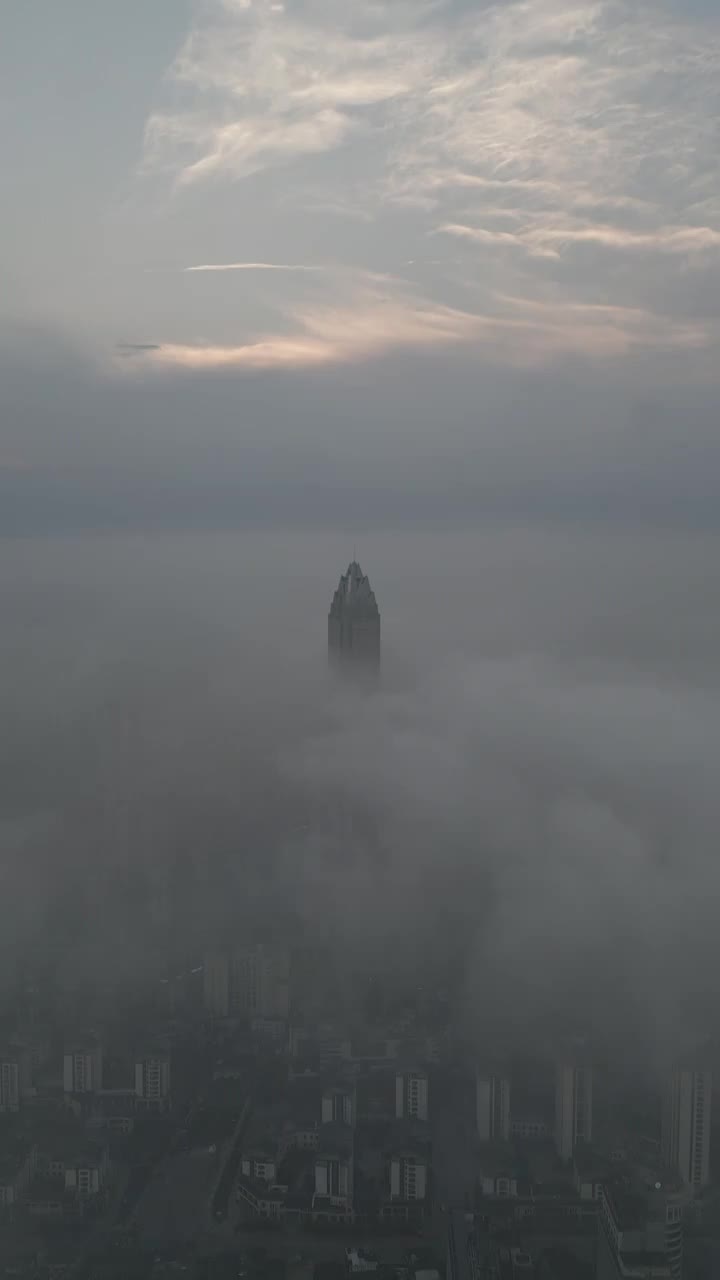 温州市区平流雾云海视频下载