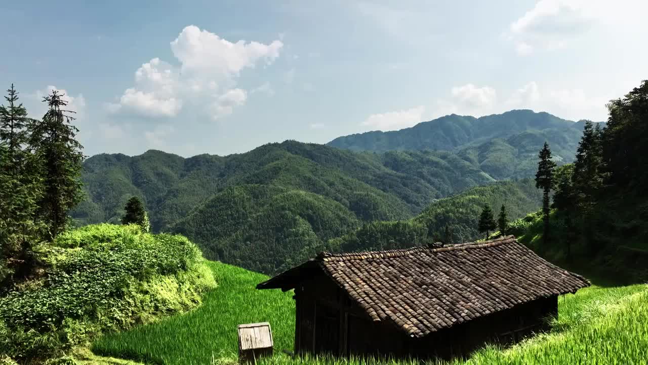 航拍晴朗天空下桂林山区的梯田和山谷中的村庄视频购买