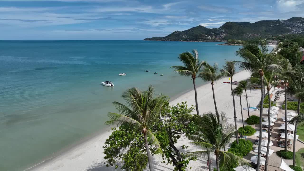 泰国苏梅岛Koh Samui查汶海滩热带岛屿海滨棕榈树风光航拍视频下载